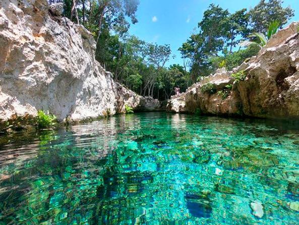 Cenote Casa Tortuga | Caribe Mexicano Tulum